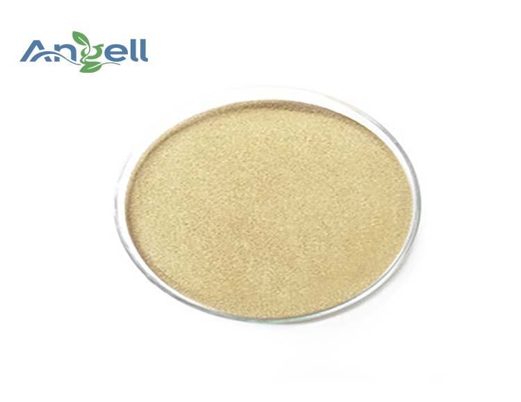 Bacillus Probiotics Bacillus subtilis es un microorganismo para la salud intestinal animal.